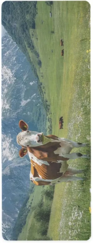 Cows on The Grassland Yoga Mat, 71 x 26 Inch Non-slip Yoga Mats Folding Travel Exercise Mat Indoor Outdoor Gym Pilates with Storage Bag for Women Men