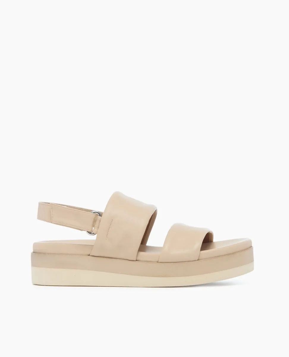 Dude Wedge