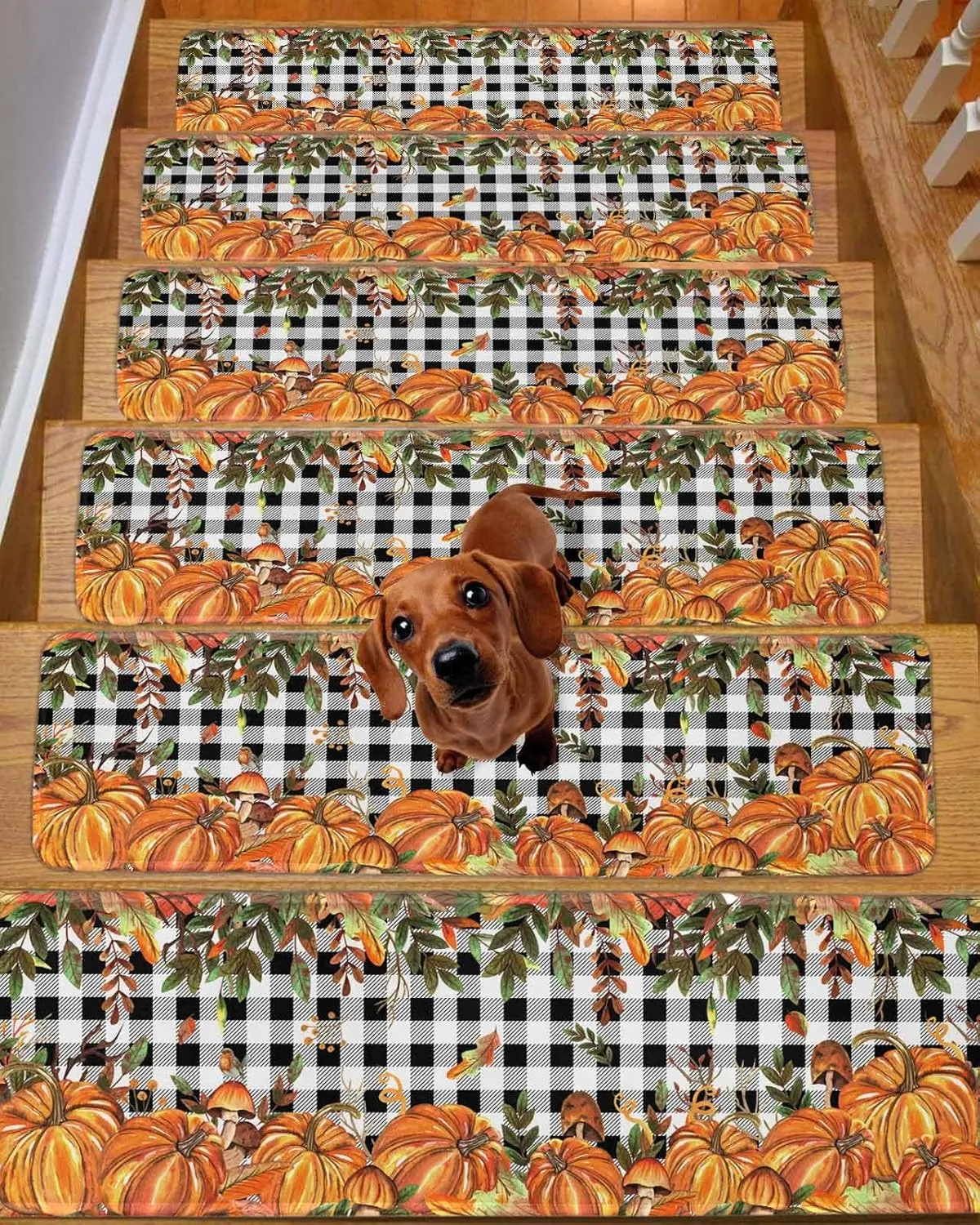 Fall Stair Treads Non Slip Indoor Stair Runner Set of 10 Carpet Stair Treads for Wooden Steps 30"x8" Autumn Pumpkin Mushtoom Leaf Check Black White Stair Carpet Treads for Dog, Kid, Elder