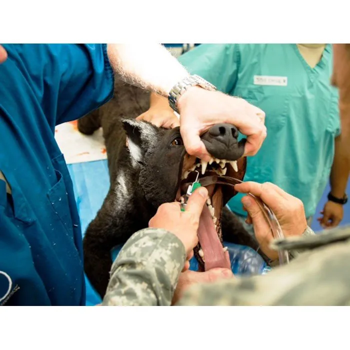 K9 HERO Full Body Canine Skills Trainer