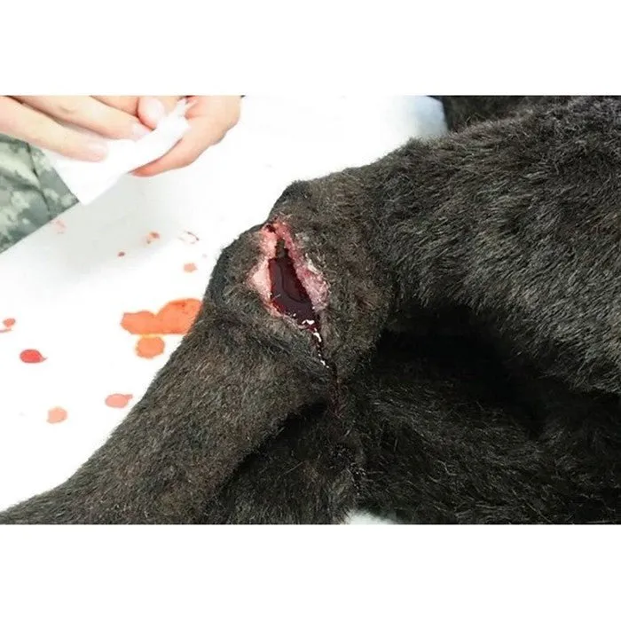 K9 HERO Full Body Canine Skills Trainer