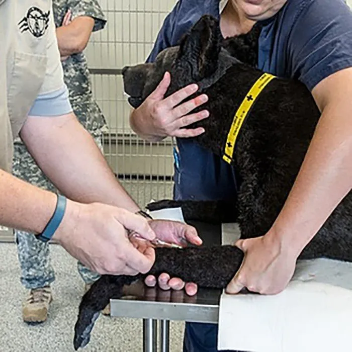 K9 HERO Full Body Canine Skills Trainer