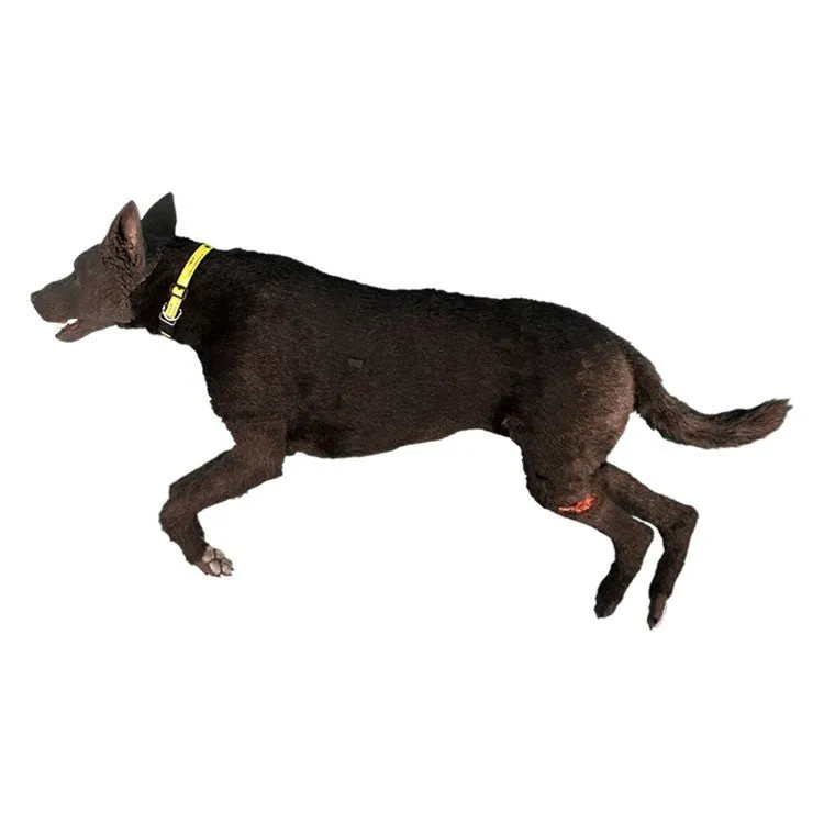 K9 HERO Full Body Canine Skills Trainer