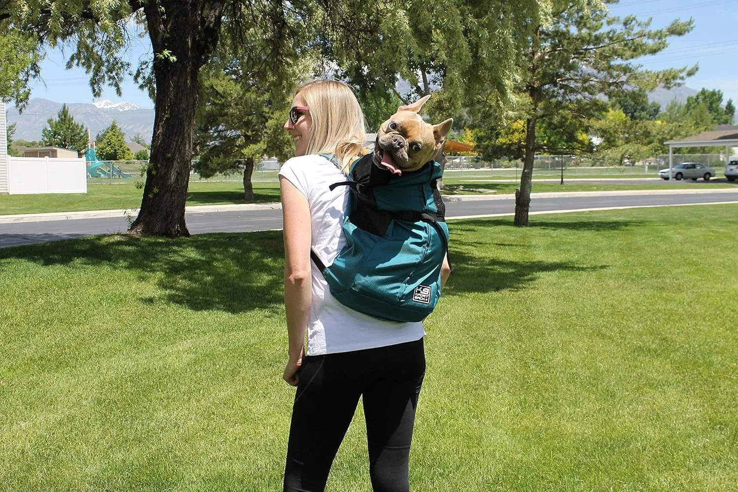K9 Sport Sack Trainer | Dog Carrier Dog Backpack for Pets (X-Small, Eclipse)