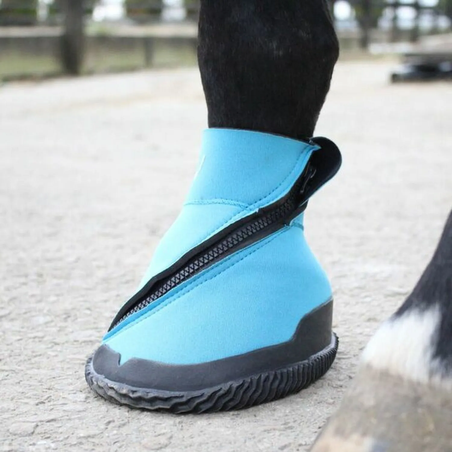 Woof Wear Medical Hoof Boot